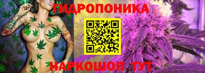 2c-b Севастополь