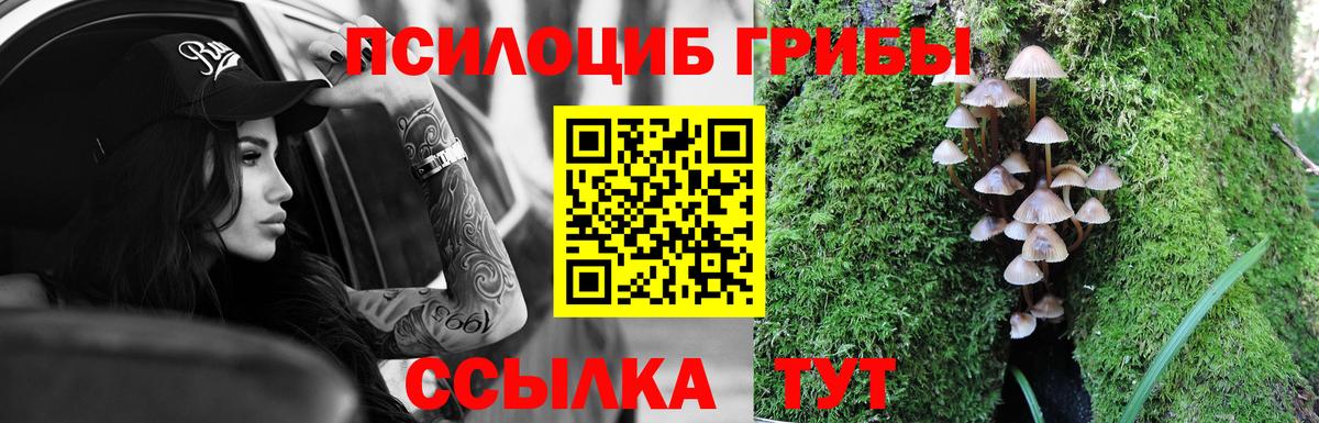 закладки  Галлюциногенные грибы мицелий  Вход с VPN  Нягань  Псилоцибиновые грибы GOLDEN TEACHER 